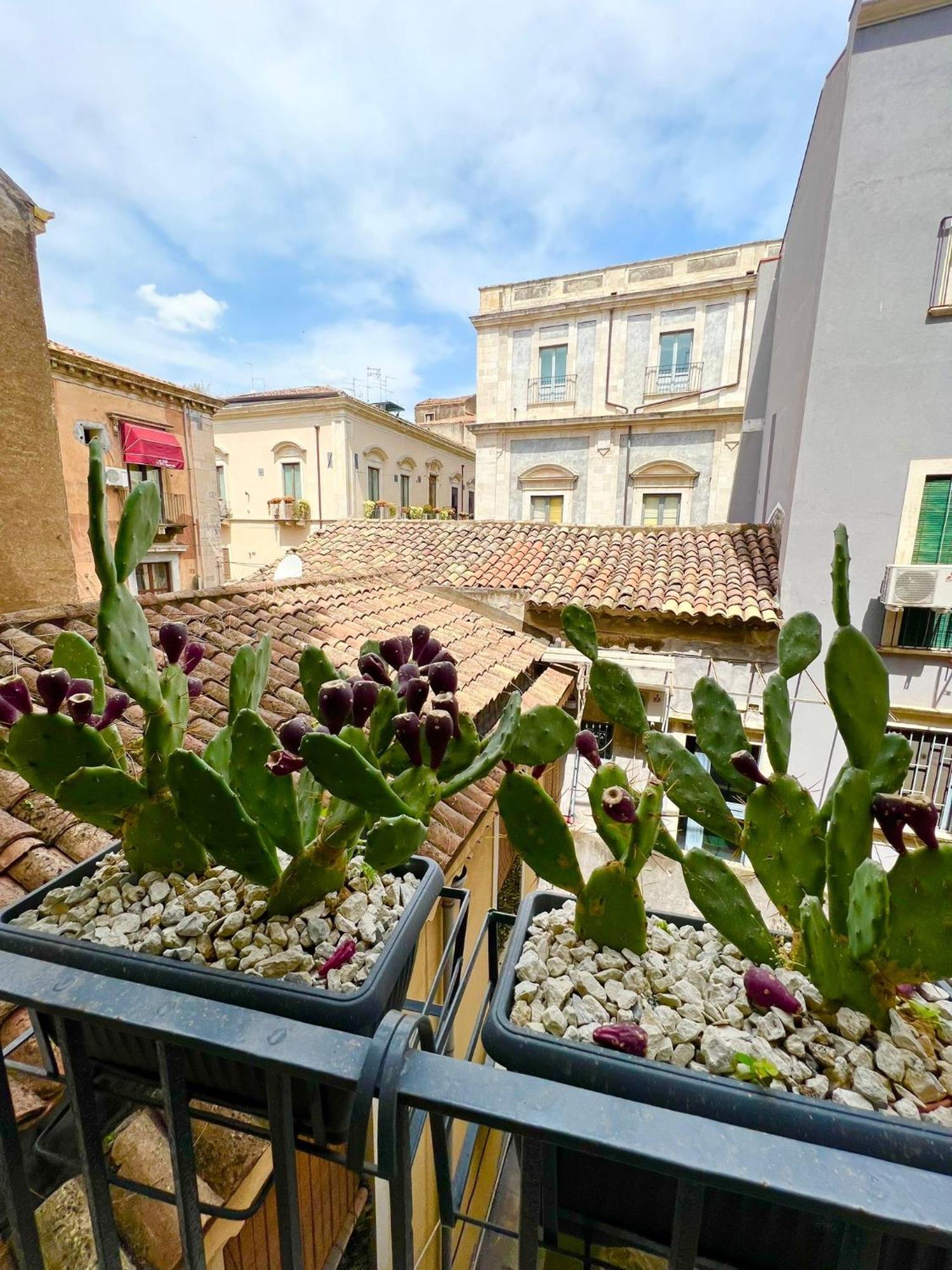 Erasmo 19 Luxury Home CTA Exterior photo